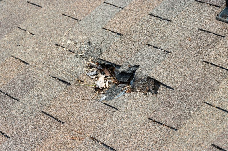 Roof Shingles Replacement in Providence, RI