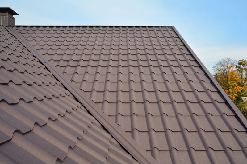 Tin Roof Installation in Fredericksburg, VA